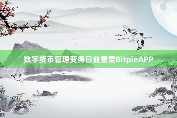 数字货币管理变得日益重要BitpieAPP