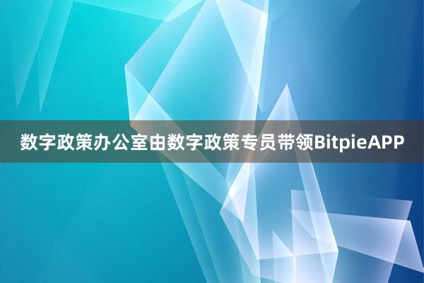 数字政策办公室由数字政策专员带领BitpieAPP