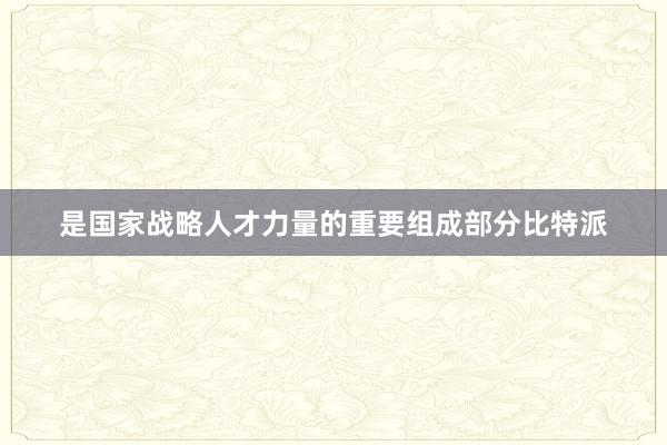 是国家战略人才力量的重要组成部分比特派