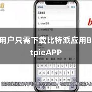 用户只需下载比特派应用BitpieAPP