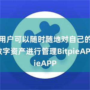 用户可以随时随地对自己的数字资产进行管理BitpieAPP