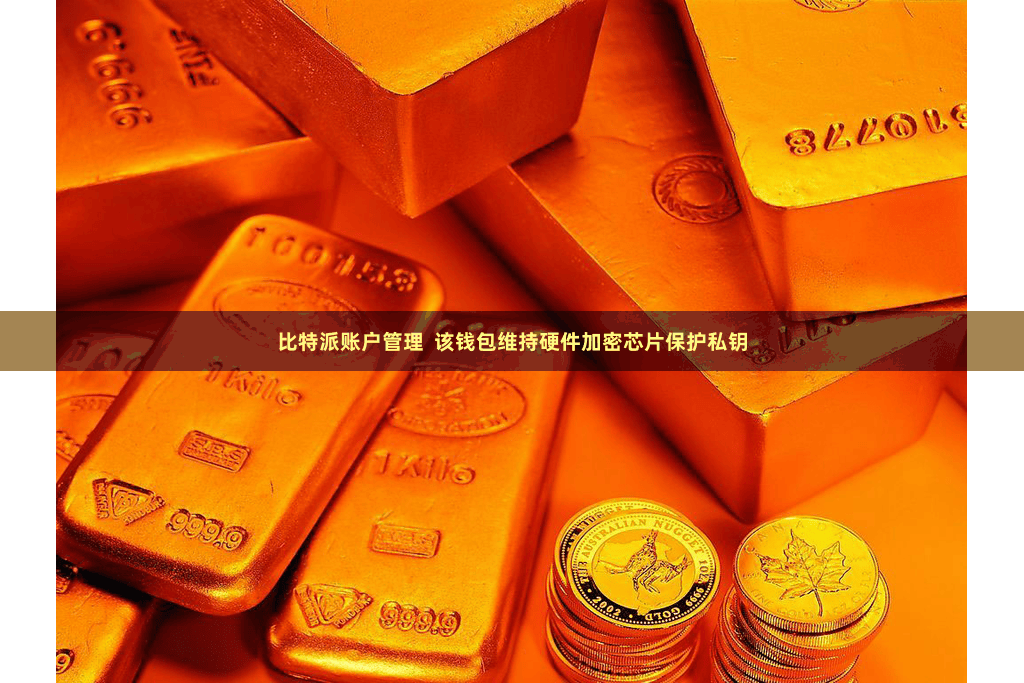 比特派账户管理  该钱包维持硬件加密芯片保护私钥